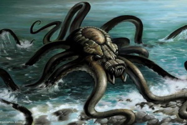 Kraken 19 at